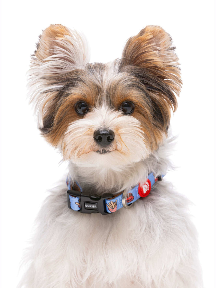 COLLAR PARA PERRO CHURROS