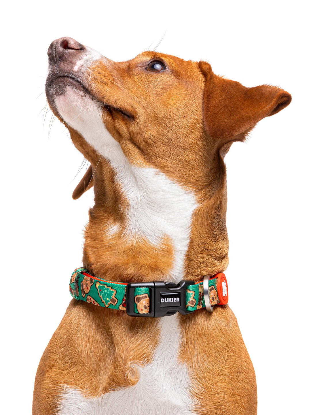 COLLAR PARA PERRO GINGER BREAD