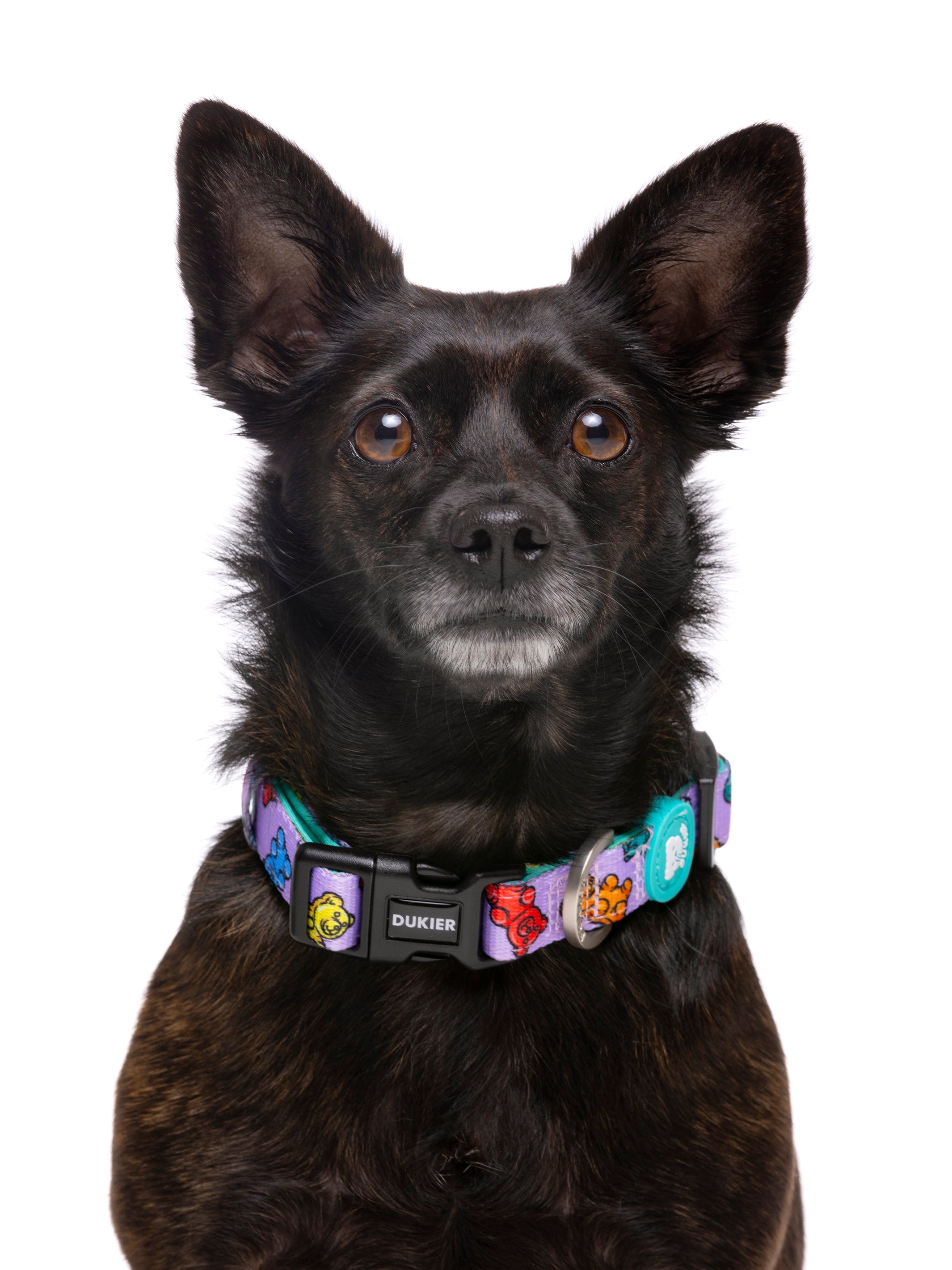 GUMMY BEARS  DOG COLLAR