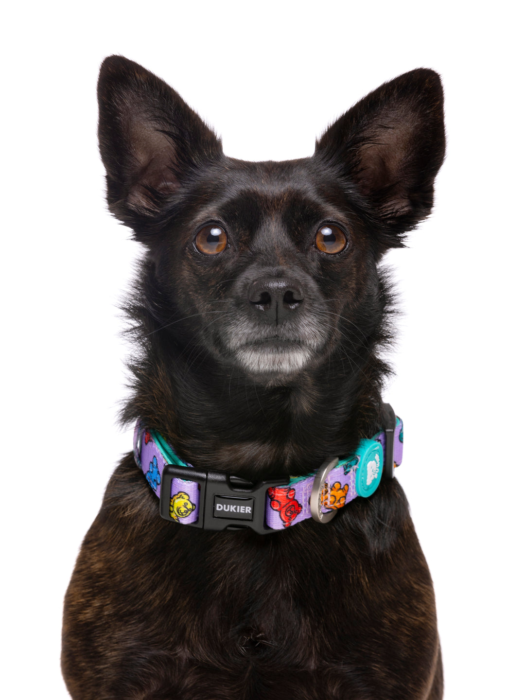 COLLAR PARA PERRO GUMMY BEARS