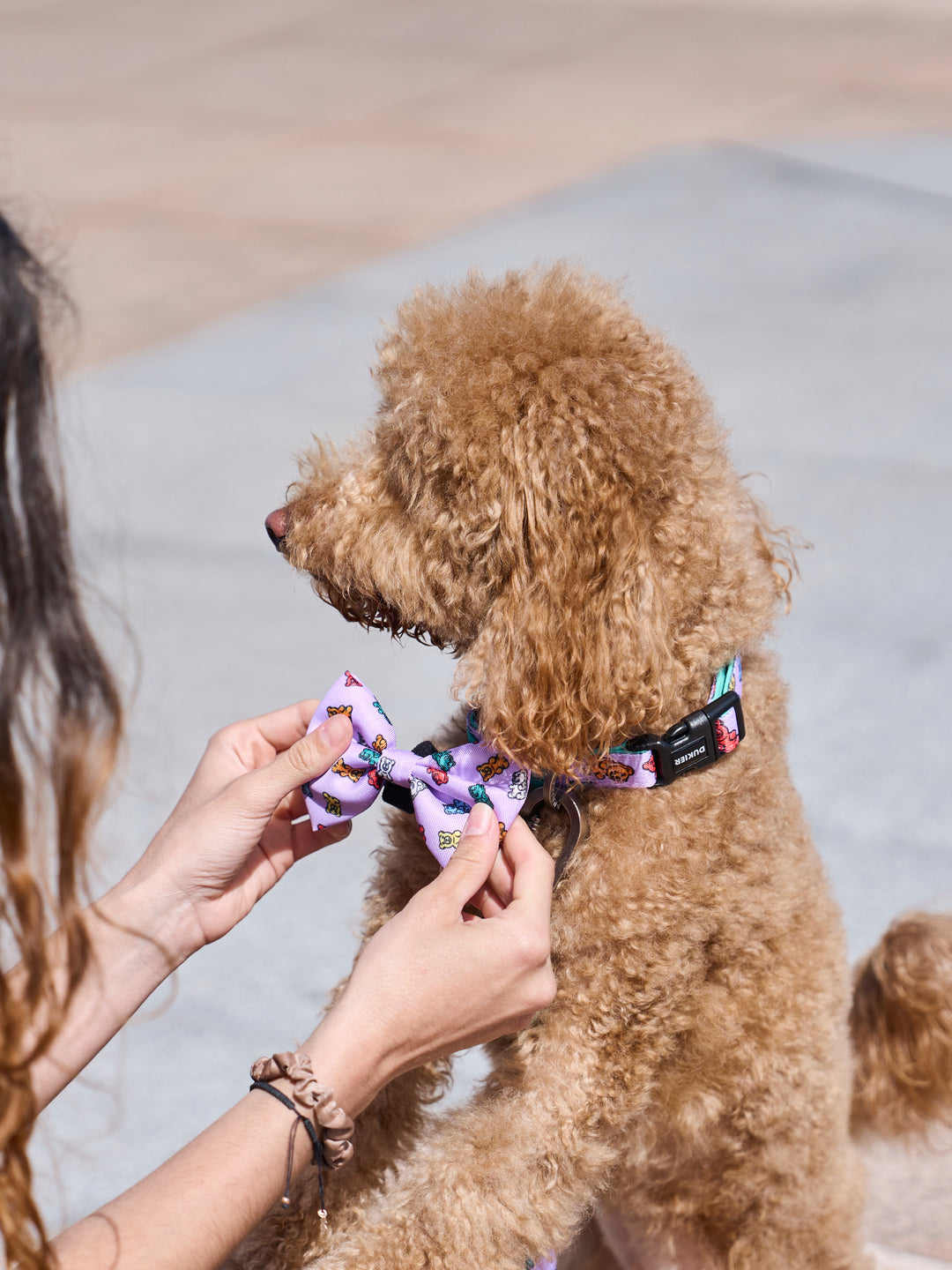 COLLAR PARA PERRO GUMMY BEARS