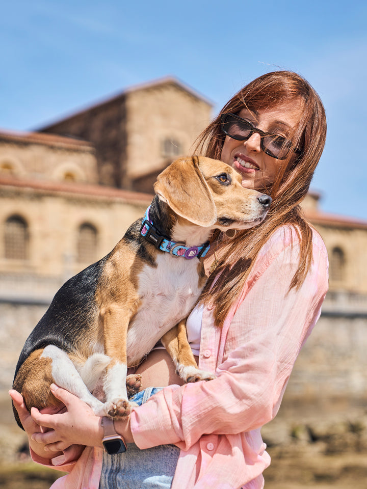 COLLAR PARA PERRO MERMAID