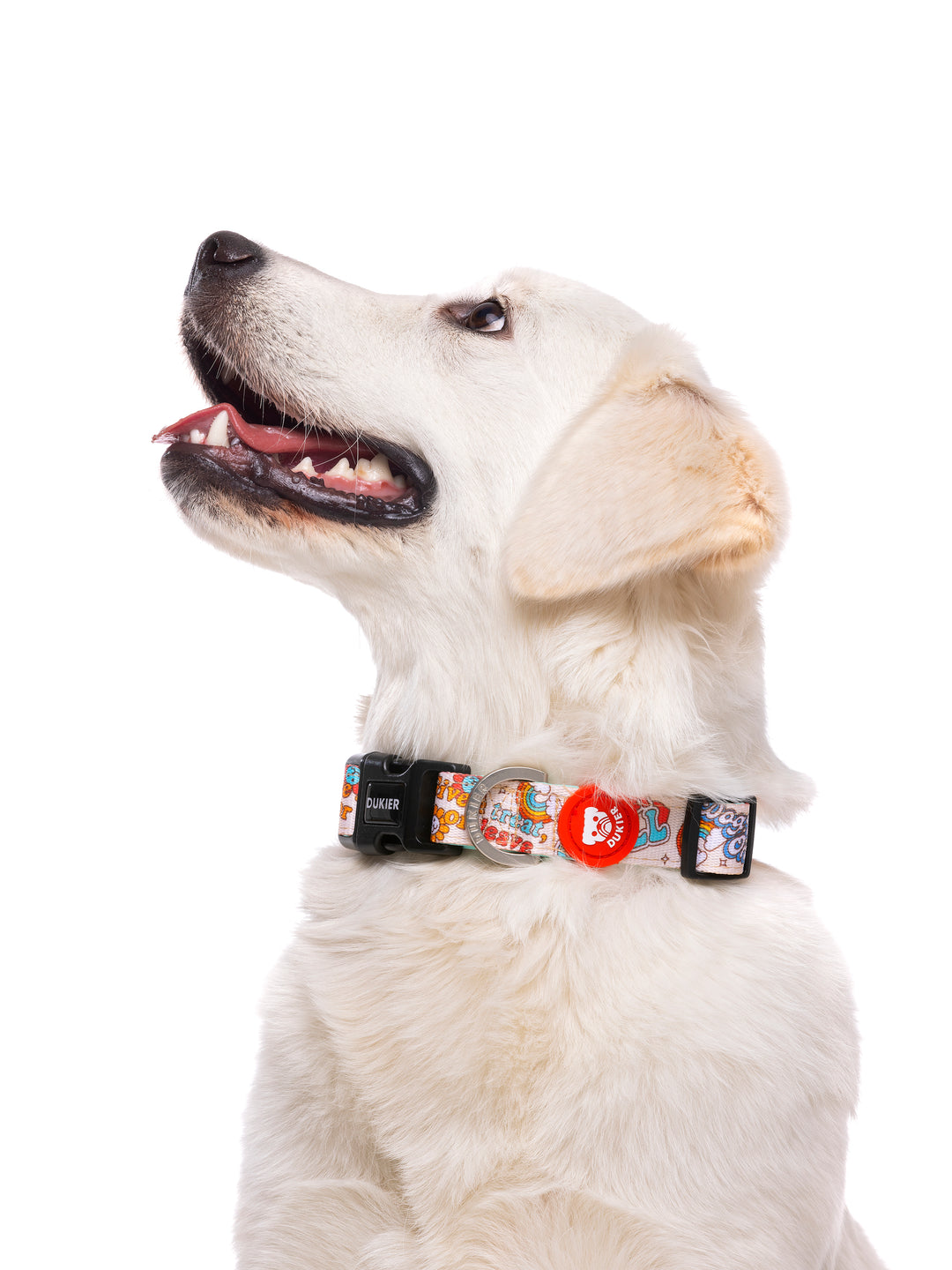 STICKERS DOG COLLAR