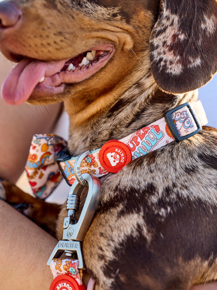 STICKERS DOG COLLAR