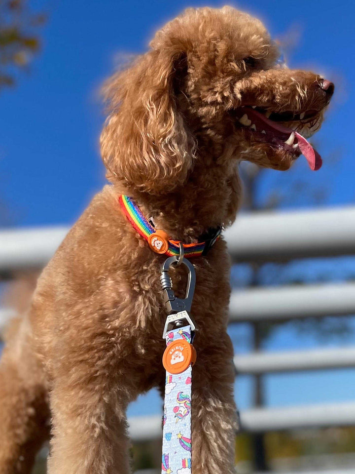 COLLAR PARA PERRO UNICORNS