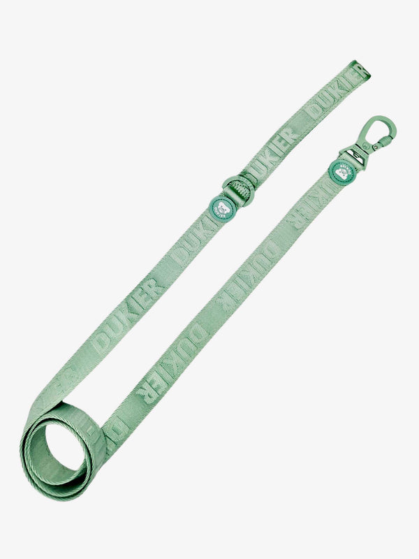 CORREA  SOFT GREEN