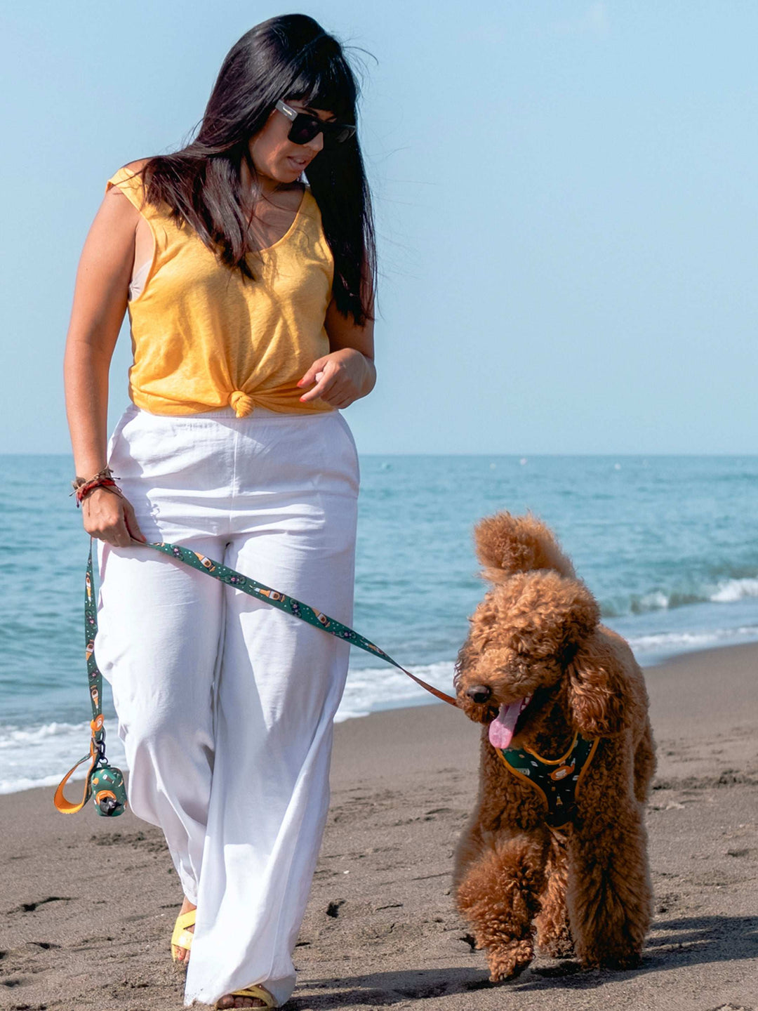 CORREA PARA PERRO BEER