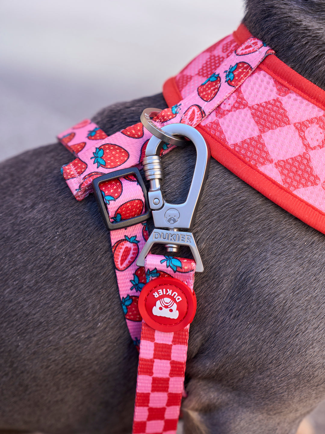 BERRY LOVE REVERSIBLE DOG HARNESS
