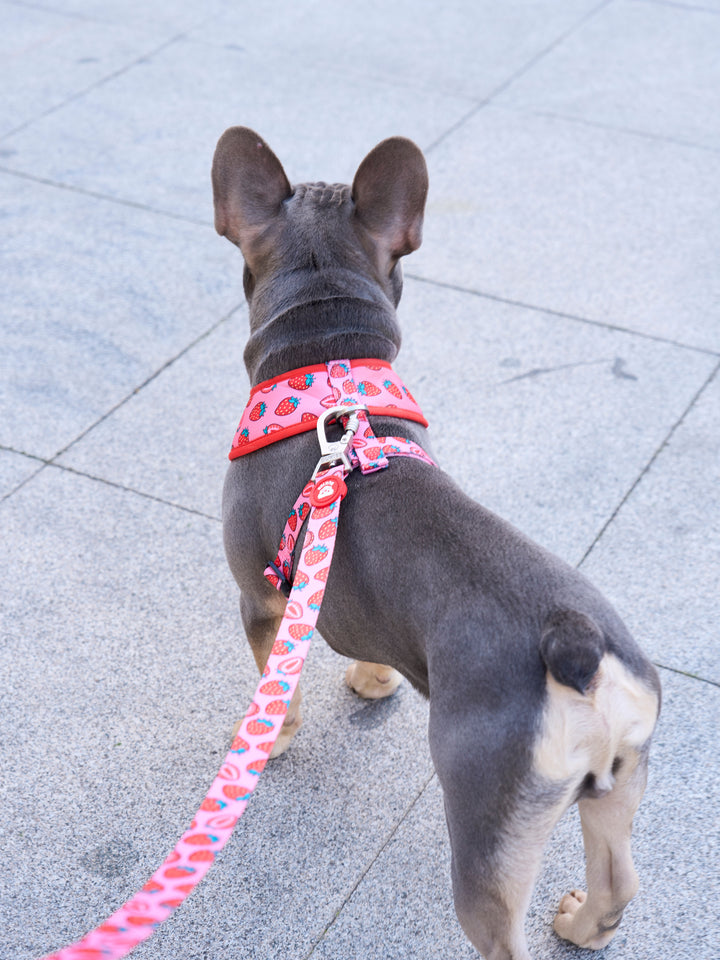 BERRY LOVE LEASH FOR DOGS