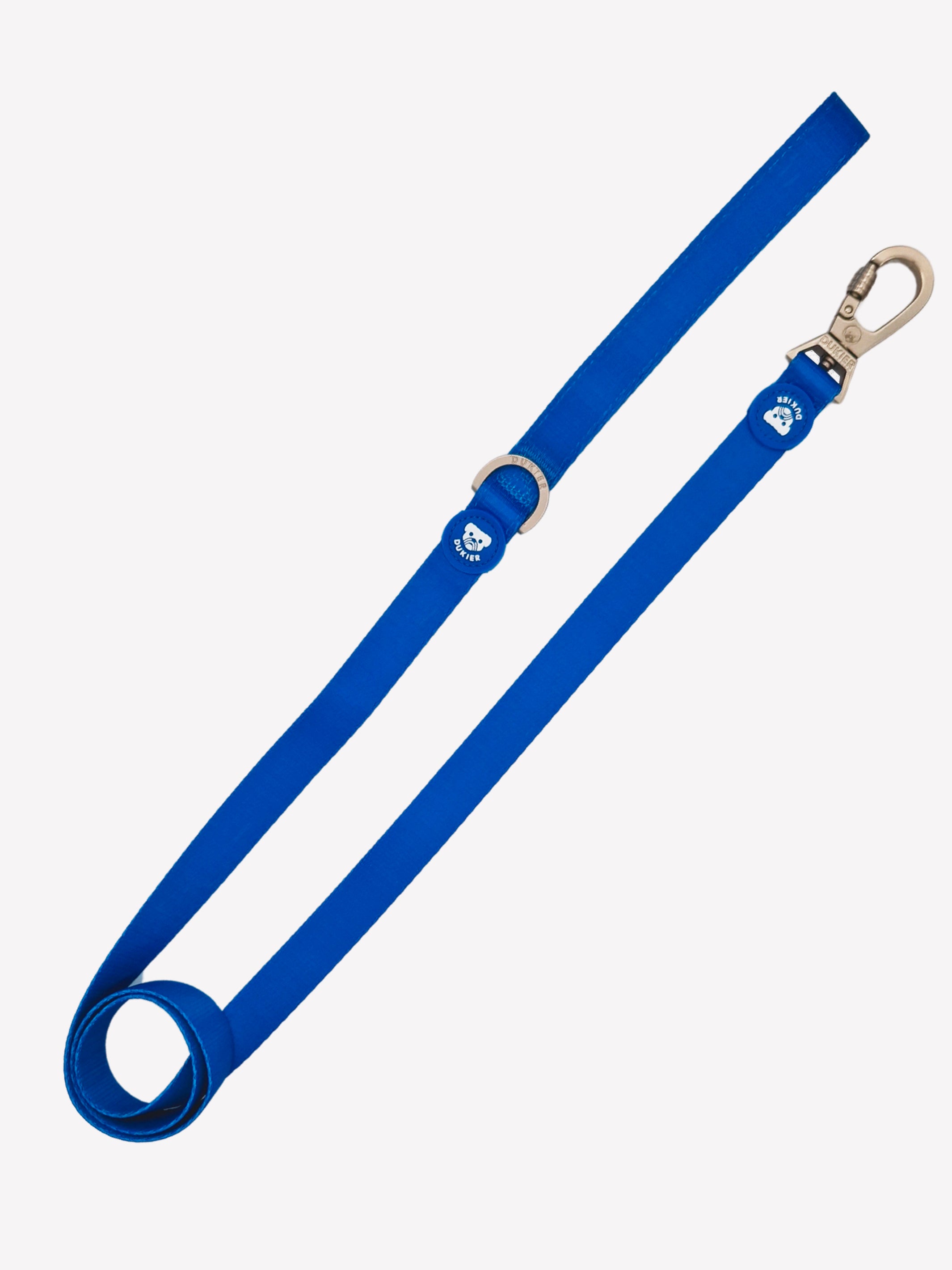 BLUE LEASH FOR DOGS