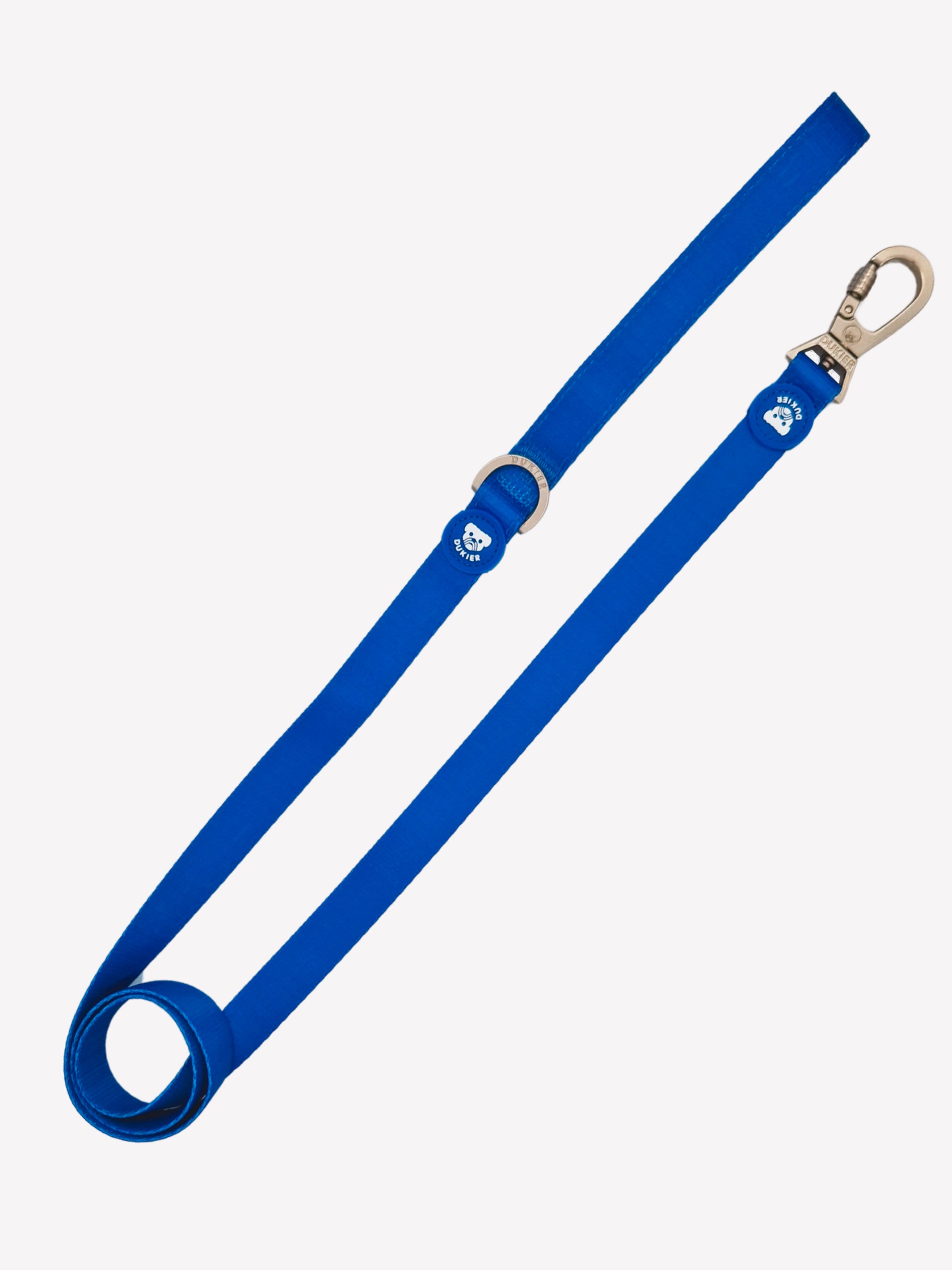 Friends TV Show City Doodle Dog Leash, 6 Ft Blue Nylon Leash With Icons & Quotes - Officially Licensed Warner Bros