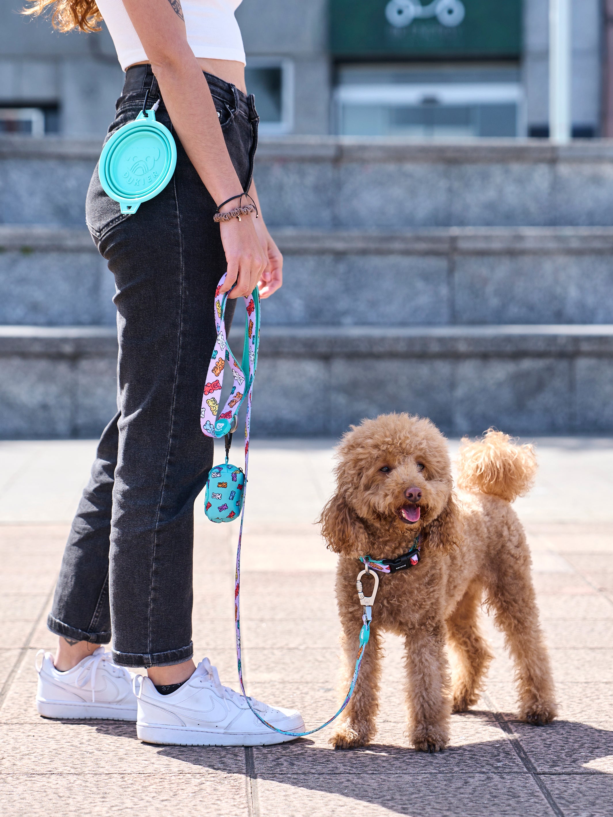 GUMMY BEARS  DOG COLLAR