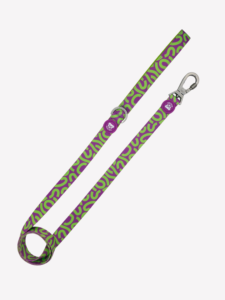 LAISSE KALEIDO LIME SWIRL POUR CHIEN