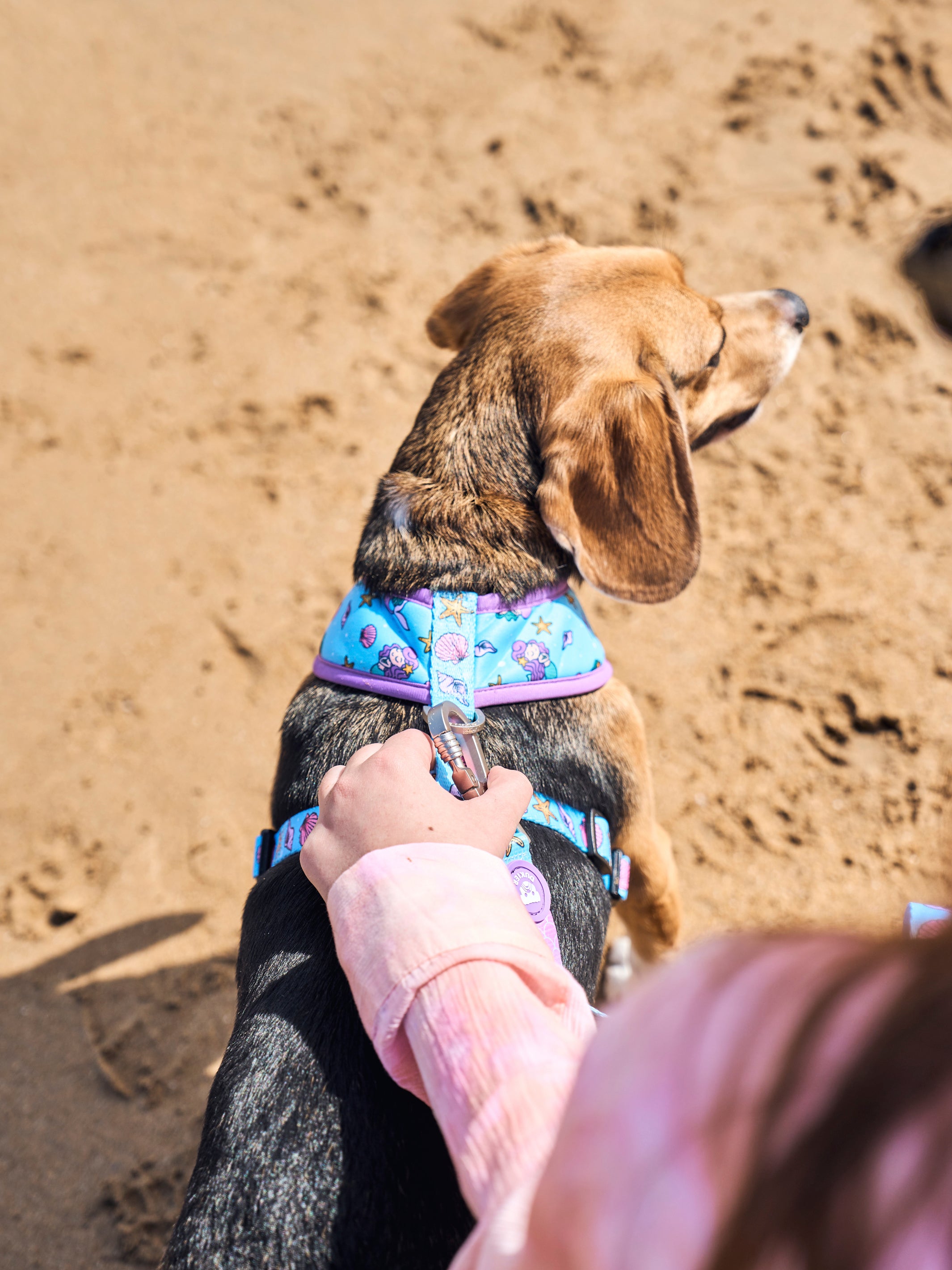 MERMAID LEASH FOR DOGS