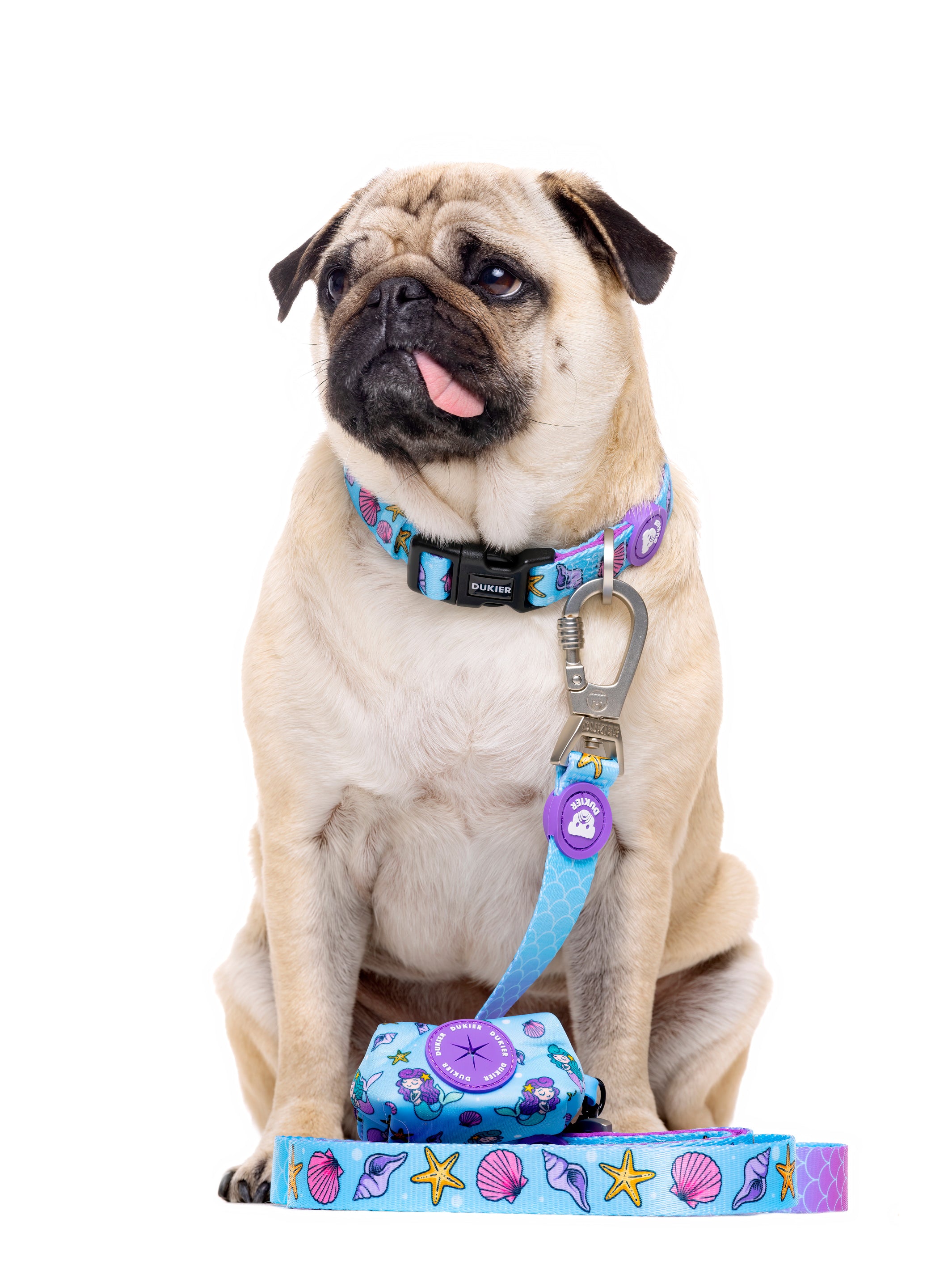 MERMAID LEASH FOR DOGS
