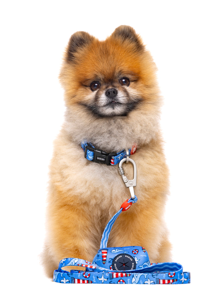 PORTE-SACS POUR CHIEN NAVY