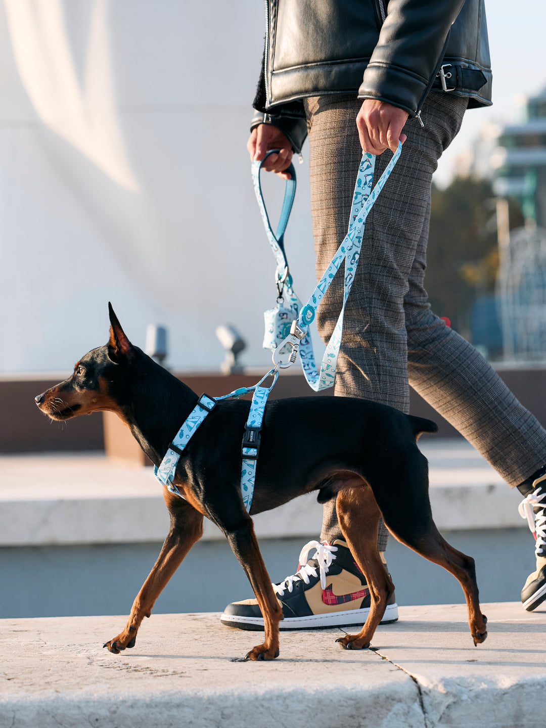 PENGUINS LEASH FOR DOG