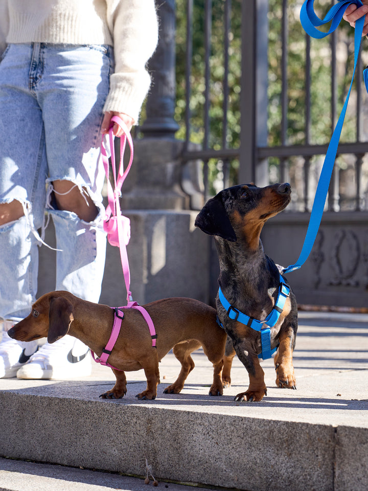 PINK LEASH FOR DOGS