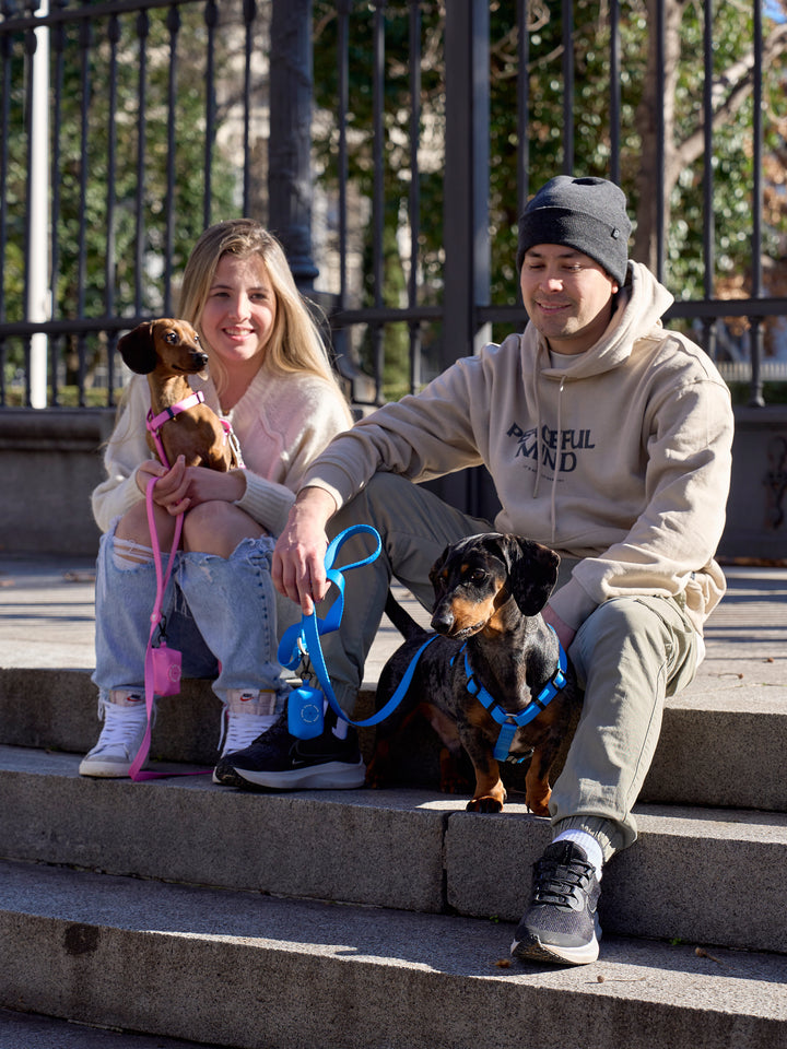 PINK LEASH FOR DOGS