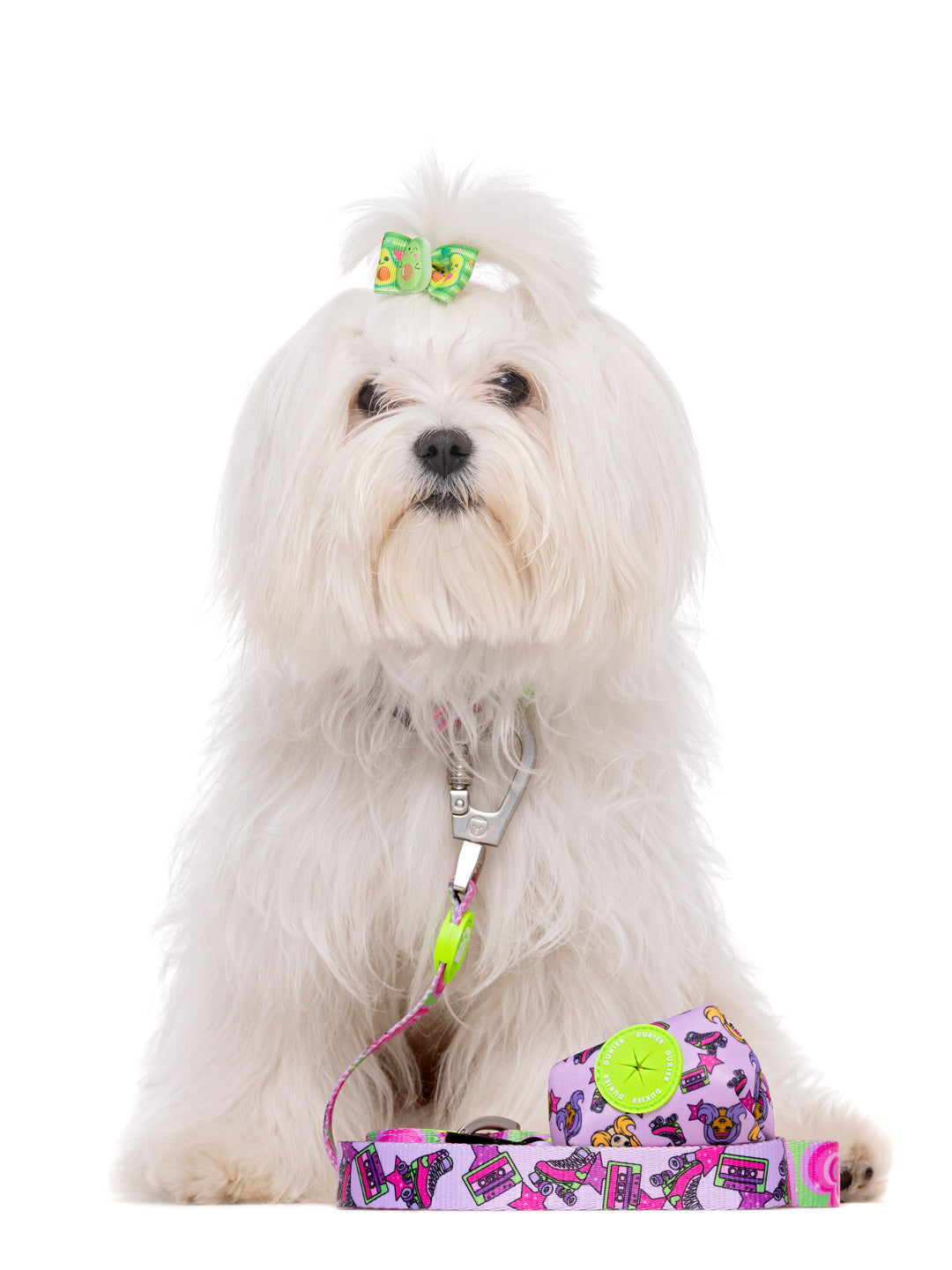 ROLLER DOLL LEASH FOR DOGS
