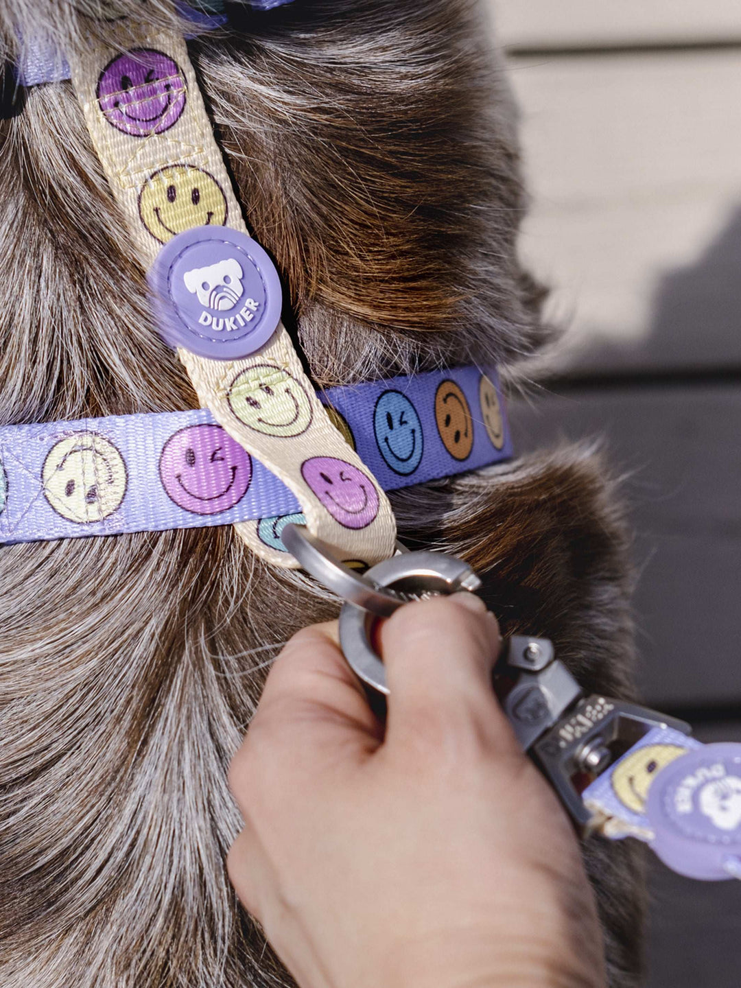 CORREA PARA PERRO SMILEY