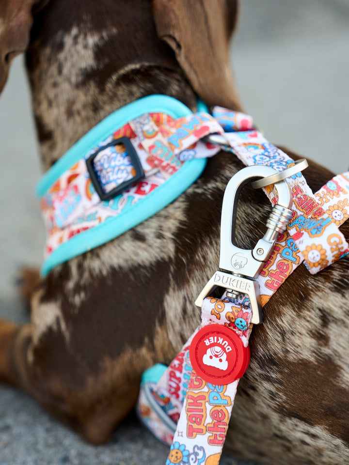 STICKERS LEASH FOR DOGS