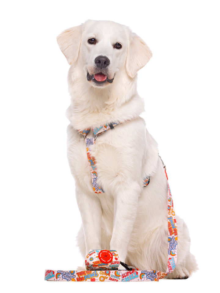 STICKERS LEASH FOR DOGS