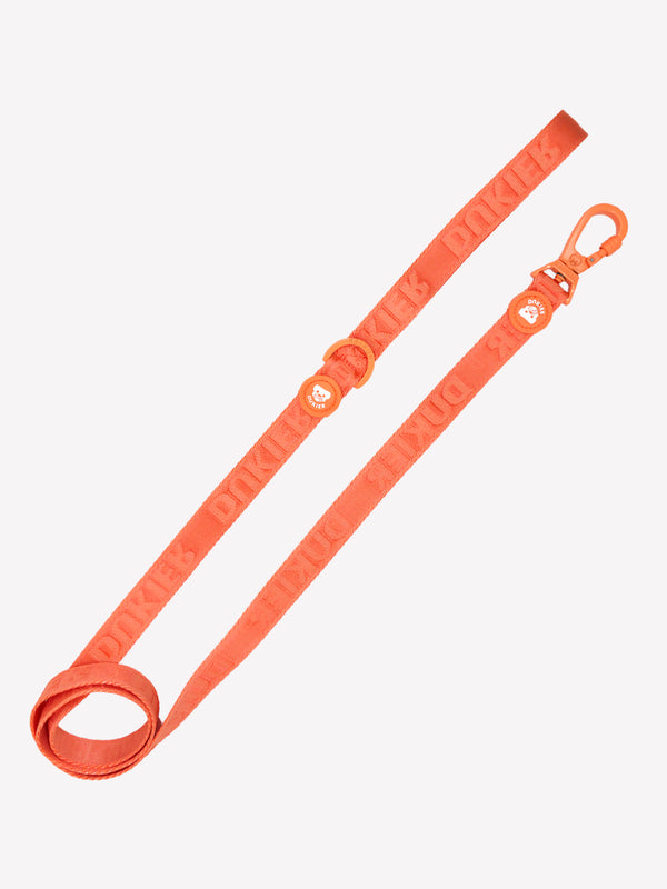 GUINZAGLIO  TANGERINE