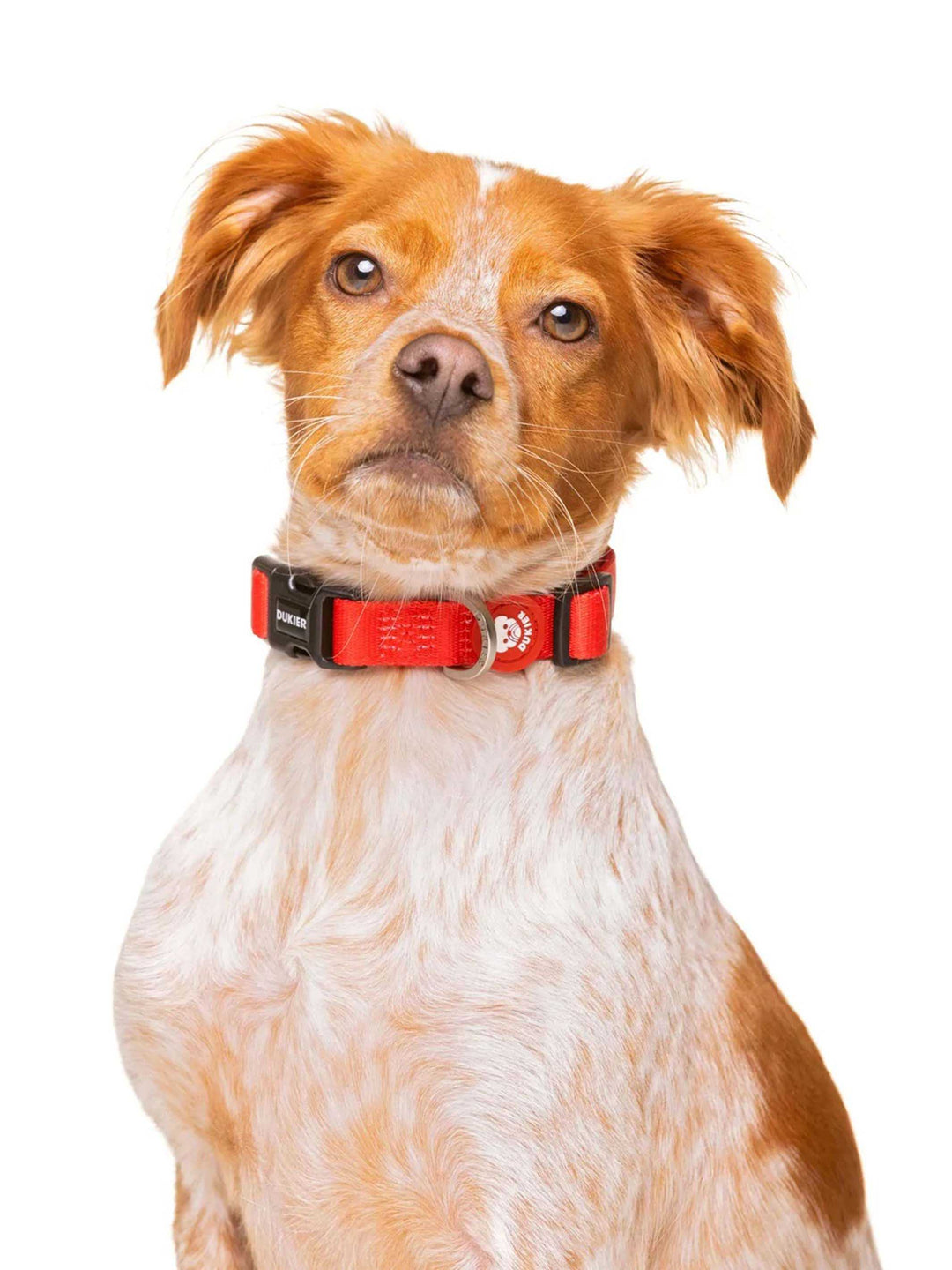 COLLAR PARA PERRO RED