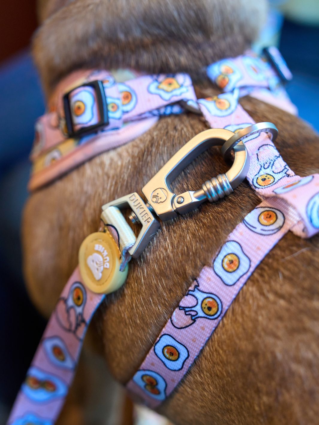 ADJUSTABLE DOG HARNESS EGGS