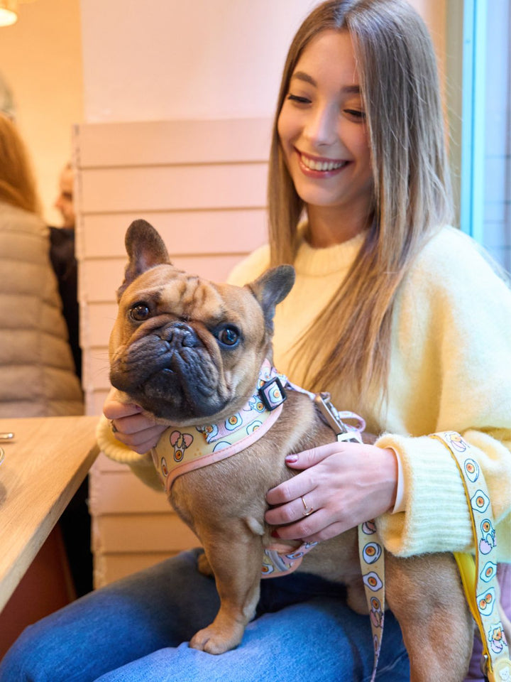 ADJUSTABLE DOG HARNESS EGGS