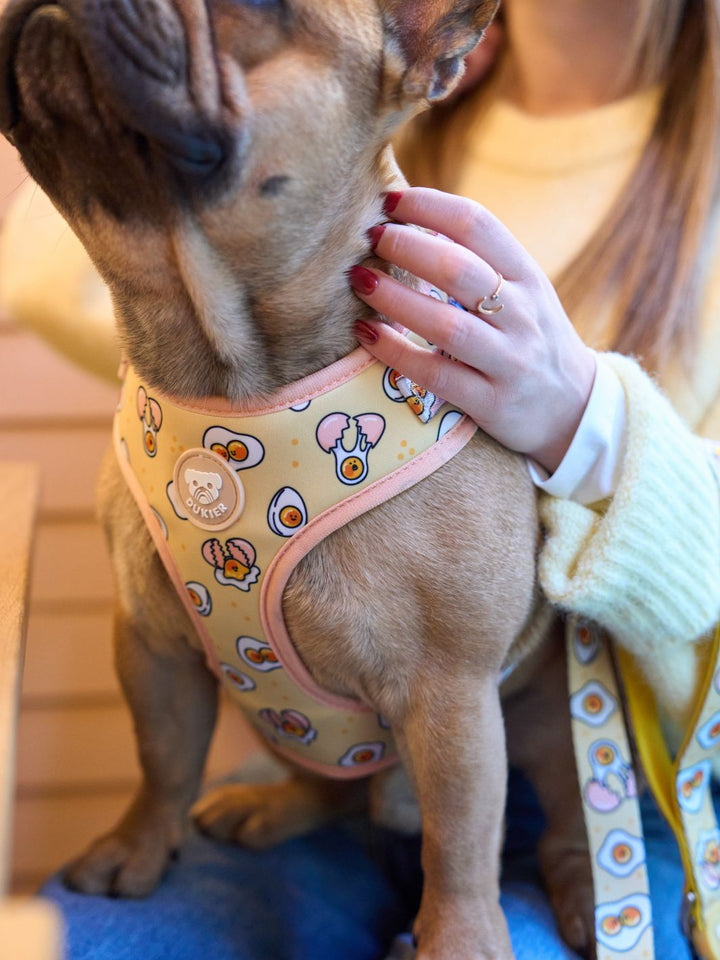 ADJUSTABLE DOG HARNESS EGGS