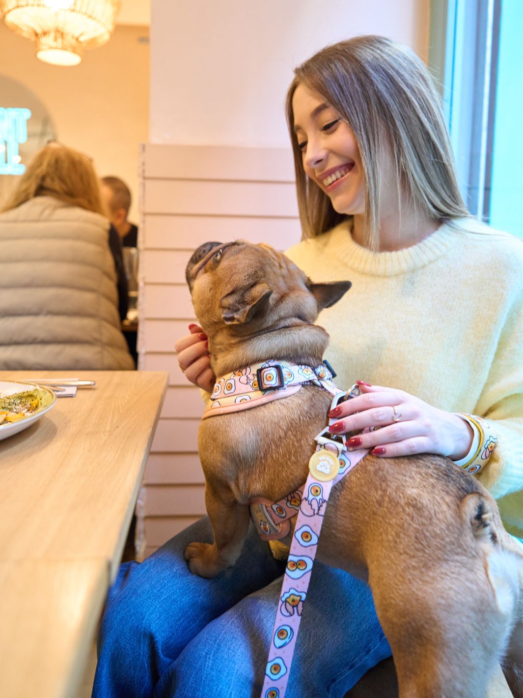 ADJUSTABLE DOG HARNESS EGGS