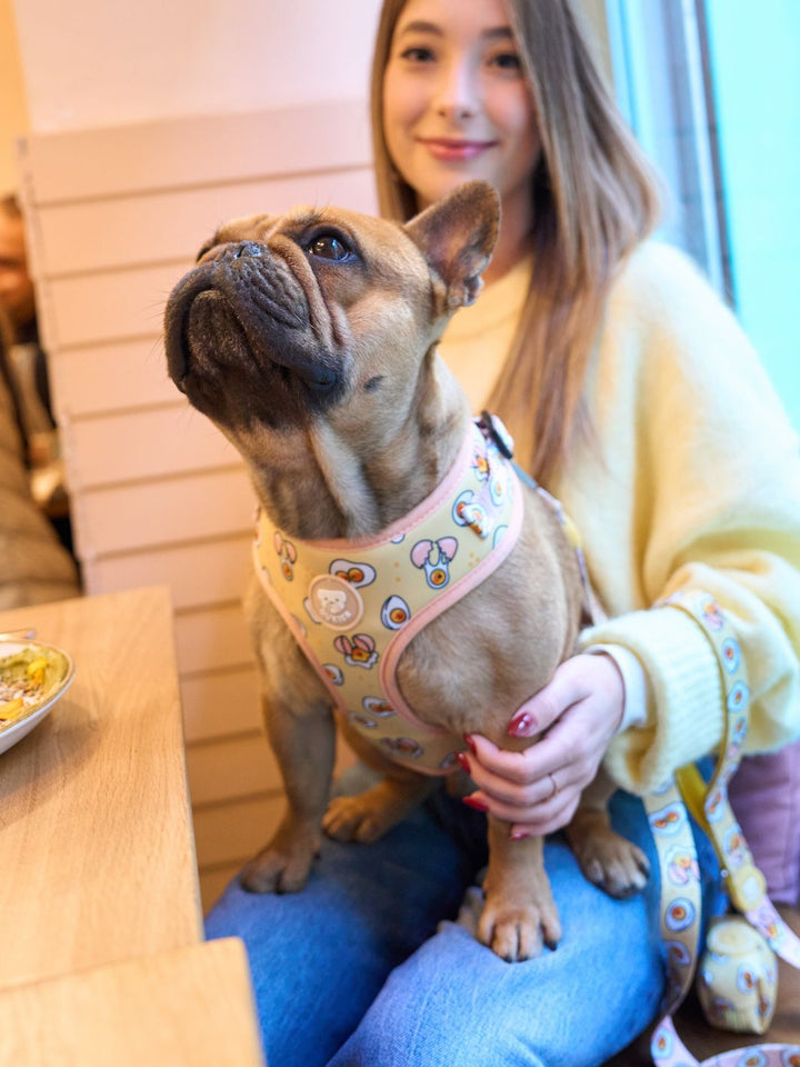 ADJUSTABLE DOG HARNESS EGGS