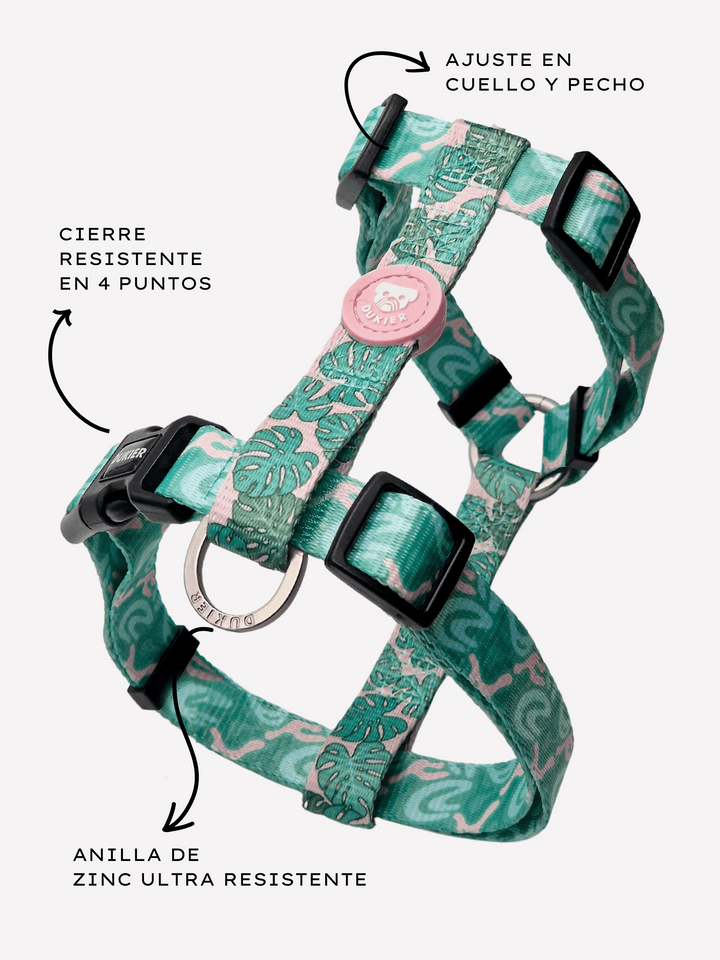 ARNÉS CLÁSICO PARA PERRO MONSTERA