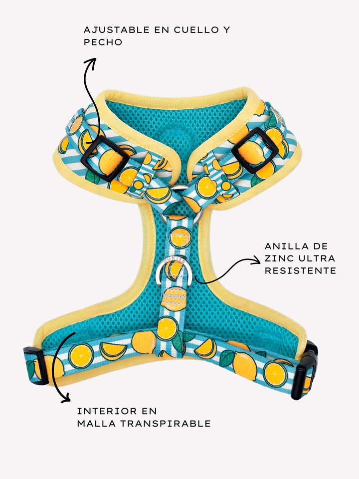 ARNES AJUSTABLE PARA PERRO LEMONS