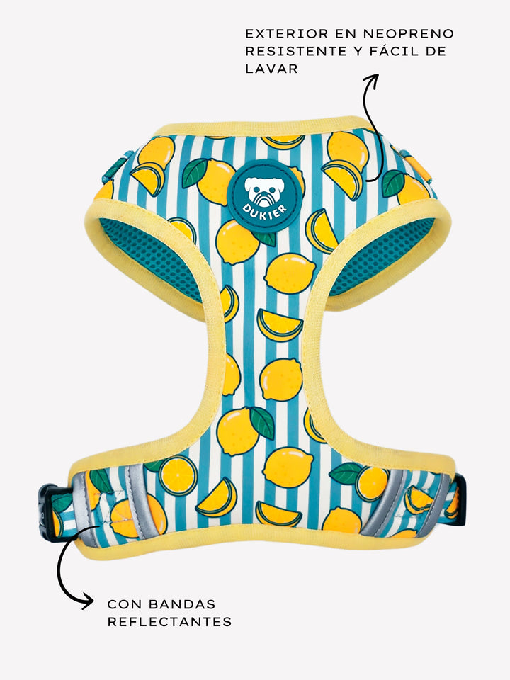 ARNES AJUSTABLE PARA PERRO LEMONS