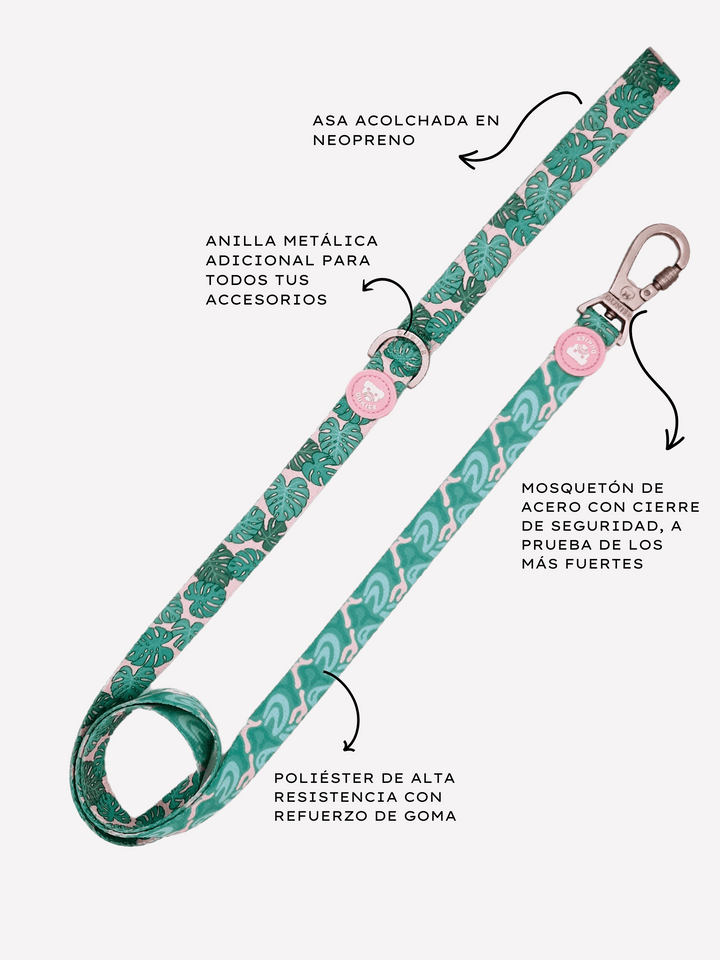 CORREA PARA PERRO MONSTERA