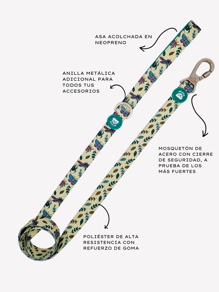 LITTLE BUGS LEASH FOR DOGS