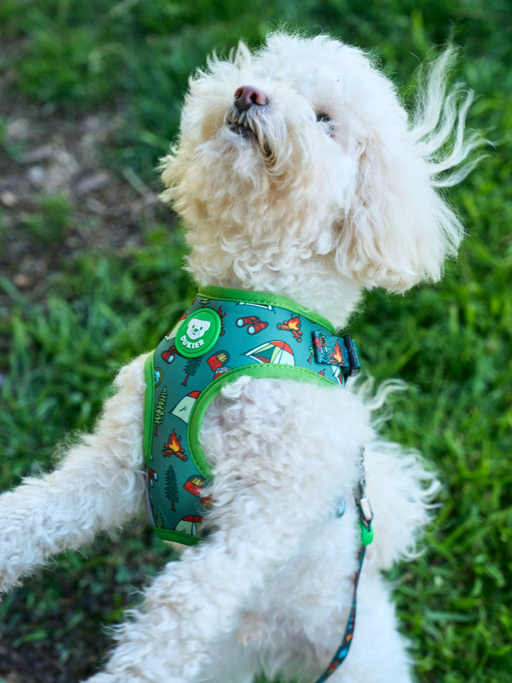 SCOUTS ADJUSTABLE DOG HARNESS