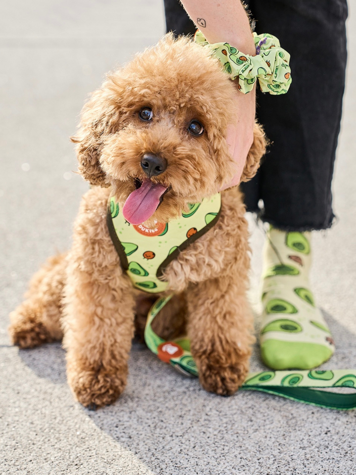 ARNÉS REVERSIBLE PARA PERRO AVOCADO