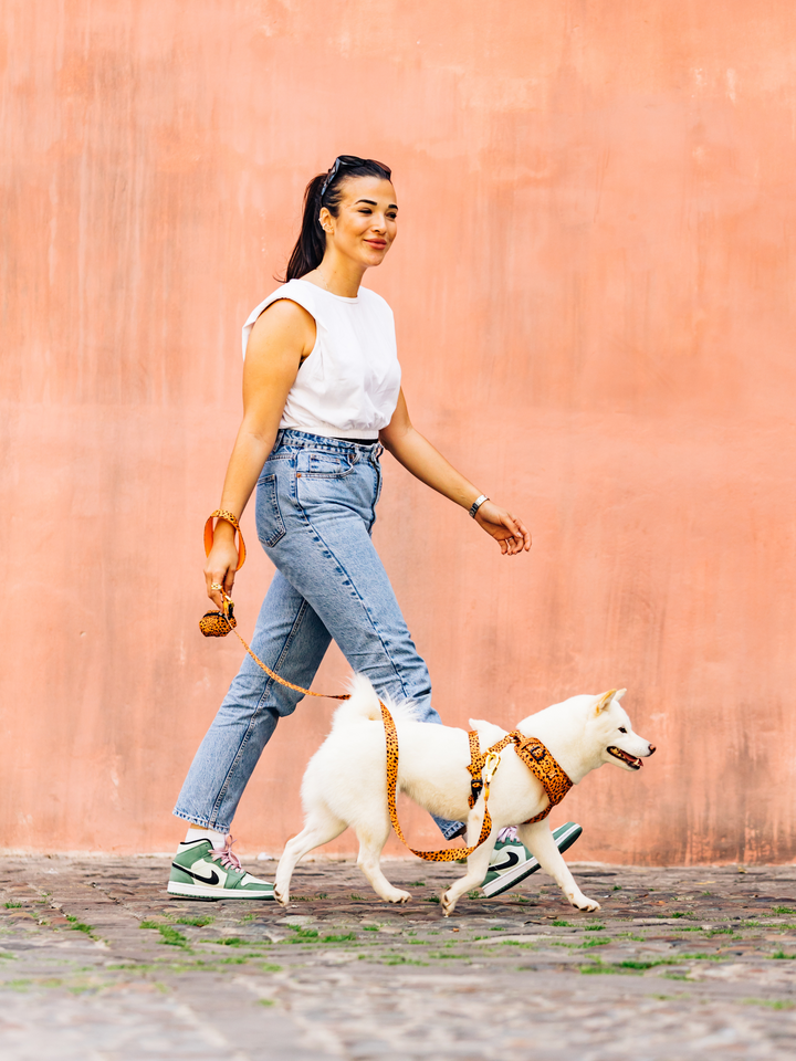 CHEETAH GOLD LEASH FOR DOGS