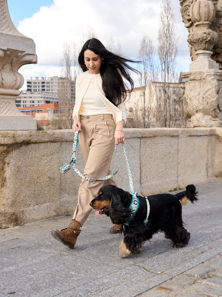 LITTLE BUGS LEASH FOR DOGS