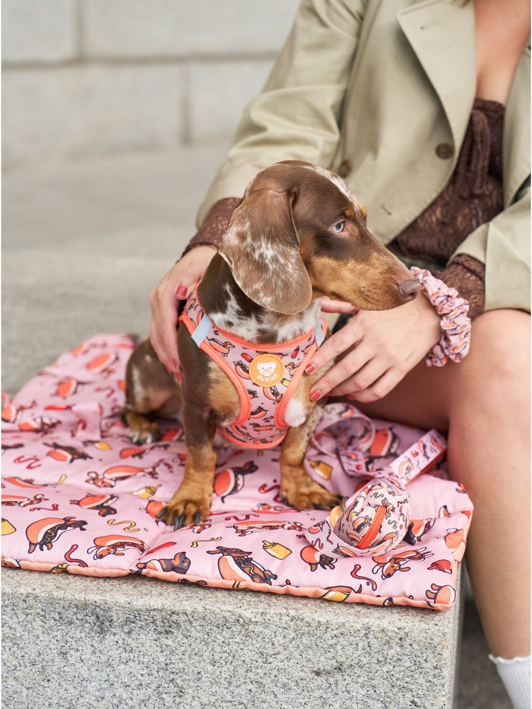 ROLL UP PET MAT: HOT DOGS