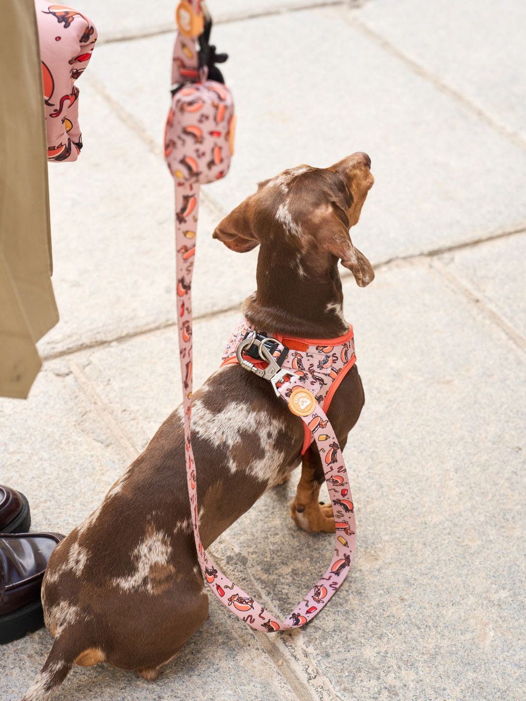 DOG BODY HARNESS HOT DOGS