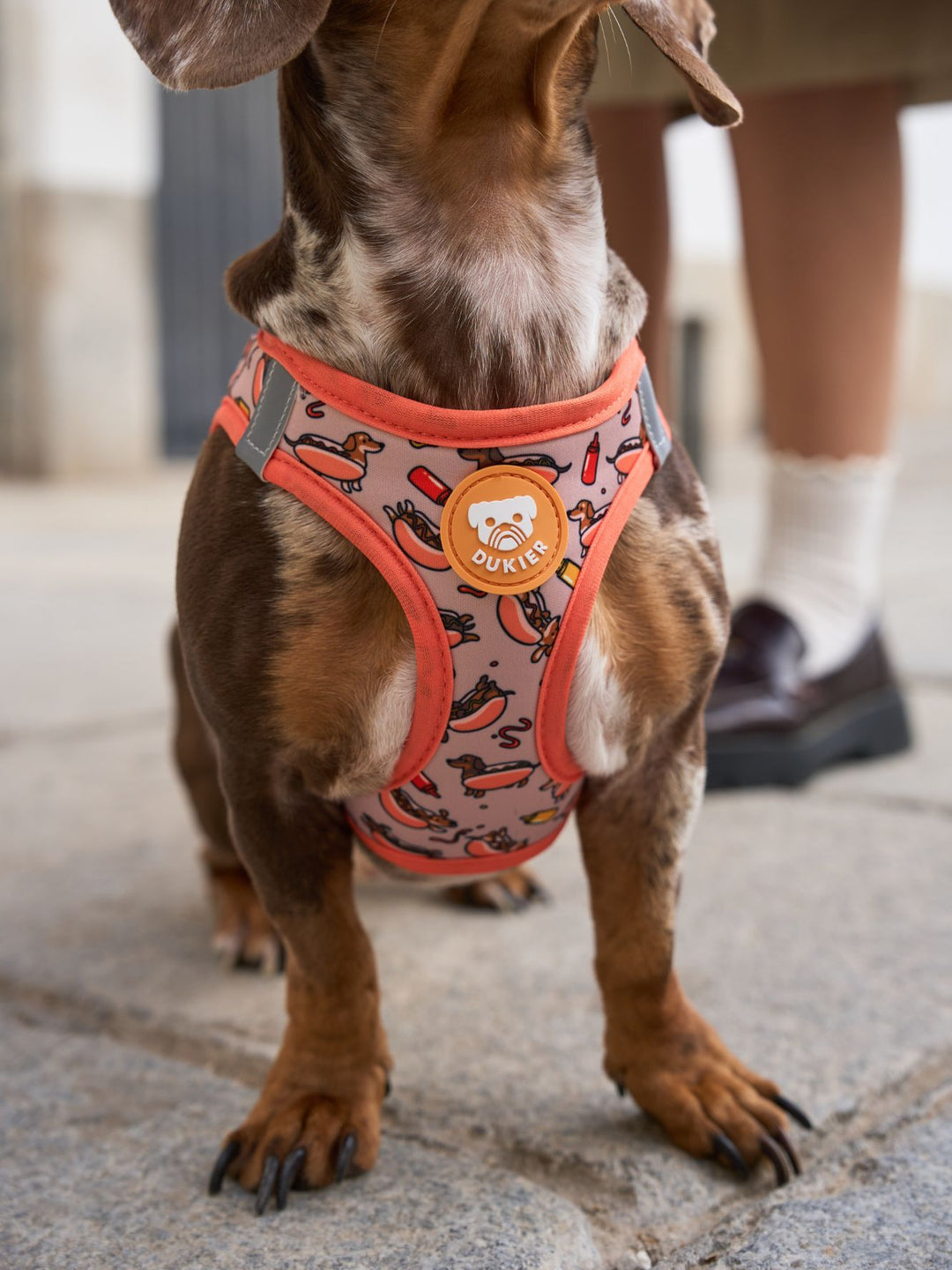 DOG BODY HARNESS HOT DOGS