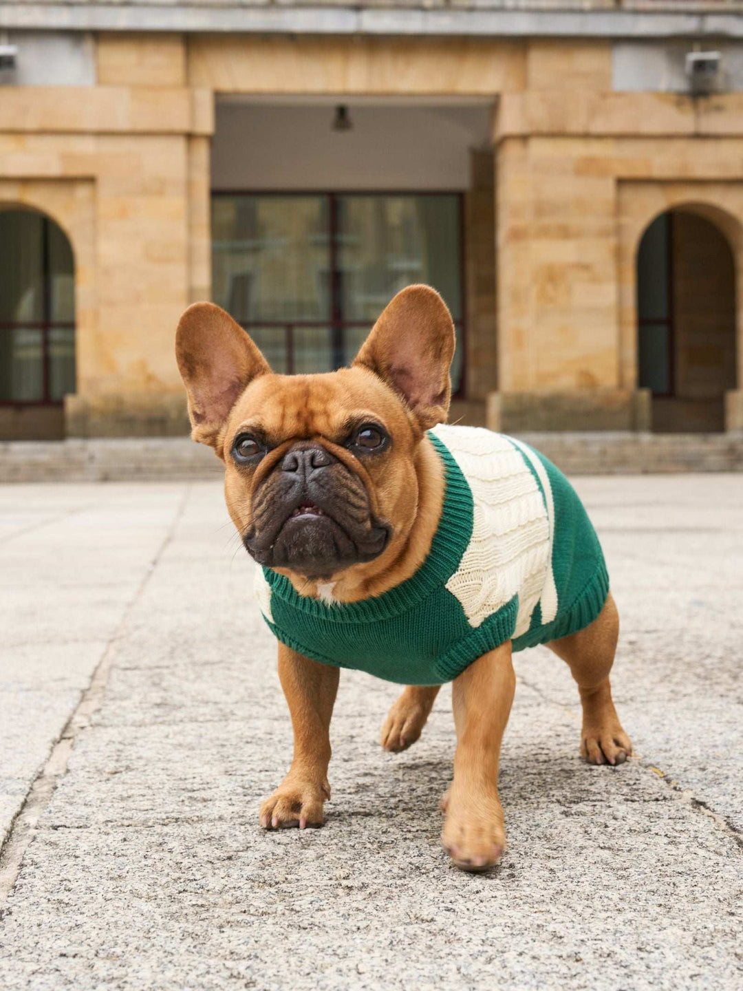 JERSEY PARA PERRO GREEN