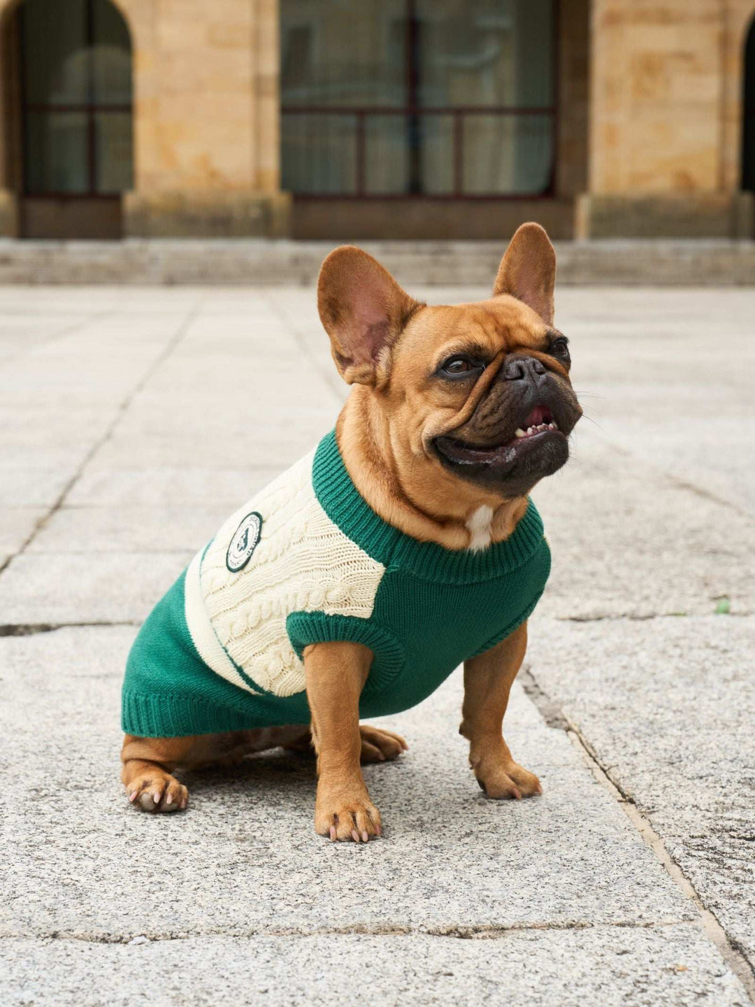 JERSEY PARA PERRO GREEN