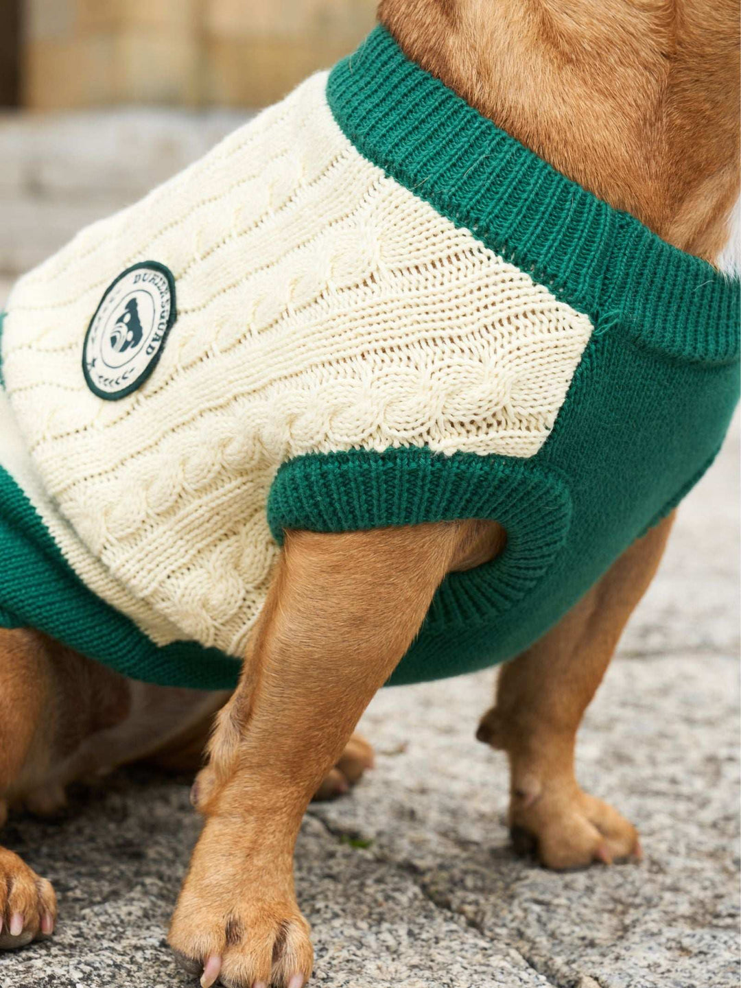 JERSEY PARA PERRO GREEN