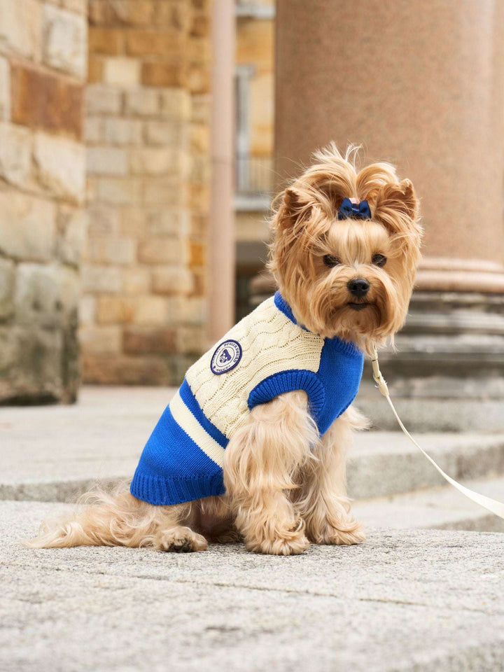 JERSEY PARA PERRO BLUE